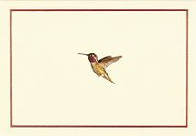 Hummingbird Flight Note Cards (Stationery, Boxed Cards)