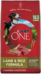 Purina ONE Dry Dog Food Lamb and Ri