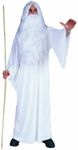 RG Costumes Men's One Size White Wizard, White