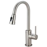 Pioneer 2MT250-BN Single Handle Kitchen Pull-down Basin Taps Faucet, PVD Brushed Nickel Finish