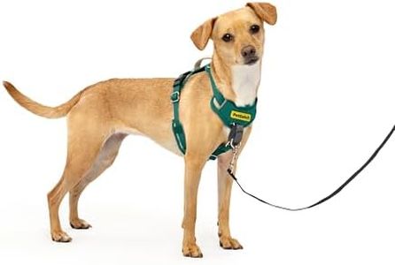 PetSafe Ea