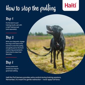 HALTI No Pull Dog Harness, Medium – Black Adjustable Training Harness