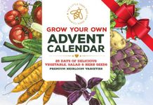 Gardening Gifts Advent Calendar 2024: 25 Premium Vegetable, Salad and Herb Seeds with Twine and Clips for Display, Great for Adults, Kids and the Family