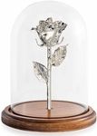 Enchanted Forever Rose | Preserved with Real Silver Rose Lasts Forever | Includes Solid Wood Base & Glass Dome | Silver Dipped Rose Assembled by Hand in the USA | Valentine's Day Gifts for Women