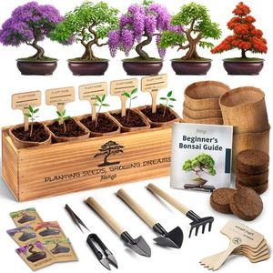 AVERGO Bonsai Tree Kit – 5X Unique Japanese Bonzai Trees | Complete Indoor Starter Kit for Growing Plants with Bonsai Seeds, Tools & Planters – Gardening Gifts for Women & Men