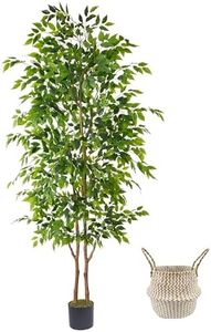 Warmplants