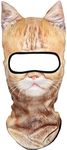 WTACTFUL 3D Animal Ears Balaclava Windproof Face Mask Cover Protection for Music Festivals Raves Halloween Party Riding Skiing Snowboarding Snowmobile Winter Cold Weather Exotic Shorthair Cat MEB-25