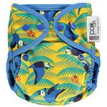 Close Pop-in Single Eco-Friendly Reusable Cloth Nappies Birth to Potty Nappy Bamboo Popper Fastening and Stretchy Tabs Parrot Printed Colour