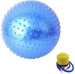 Golds Gym Exercise Balls