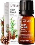 Gya Labs Fresh Forest Essential Oil Blend Diffuser - Fresh Forest Essential Oil Set for Aromatherapy, Candle & DIY - Natural Ingredients of Rosemary Oil, Pine Needle, Cedarwood Oil & Thuja (10ml)