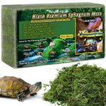 Riare Premium Natural Sphagnum Moss for Reptile Hatching, Forest Sphagnum Moss Reptile Substrate for Snakes, Gecko, Turtles, Frogs, Leopard (1.2kg)