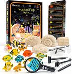 GobiDex Ocean Fish Dig Kit, Excavate 12 Sea Life Fish Toys, Science Kits for Kids Age 6-8-12, STEM Education Science Activities Toys, Great Gift for Boys & Girls Age 6+