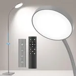 PACOVY Floor Lamp, Adjustable Heigh