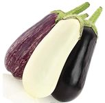 Seeds Eggplant Aubergine Long Mix Heirloom Vegetable for Planting Non GMO