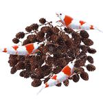 SunGrow Alder Cones for Shrimps, Water Conditioner for Freshwater Shrimp Tanks, Aquarium Decorations & Accessories, 1”, 50 Cones per Pack