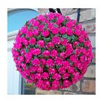 Best Artificial 28cm Pink Rose Topiary Hanging Flower Ball **UV Fade Protected**