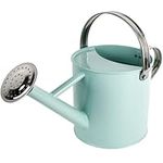 Homarden Half Gallon Teal Watering Can - Metal Watering Can with Removable Spout, Perfect Plant Watering Can for Indoor and Outdoor Plants (House Plants) - Ideal Gift & Decoration