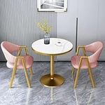 Conference Table with Chairs Set Small Modern Made of MDF+Carbon Steel for Livingroom, Reception Room, Negotiation Room 11 Colors (Color : Pink)