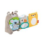 Fisher-Price Sit & Snuggle Activity Book, Plush Animal Toy and Soft Book with Mirror, Teether, and Sensory Activities for Babies Ages 3 Months+, GJD37