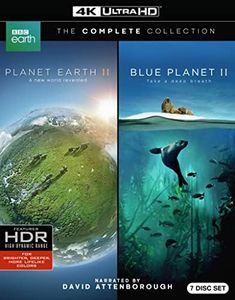 Planet Ear