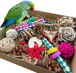 ExcyphrXyf Bird Foraging & Bird Shredding Toys Box,Natural Chewing and Foraging Toys for Cockatiels,Parakeets,Conures,Love Birds & Small to Medium Parrots