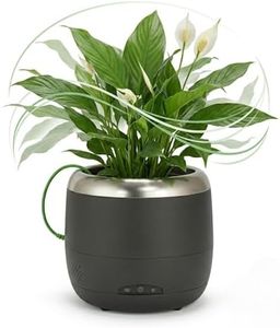 Plant Petz 6" Smart Robotic Planter - Black | Interactive Moving & Dancing Flowerpot with Bluetooth Speaker | Touch Responsive Pet Planter for Real Indoor Plants | Custom Voice Record & Motion Sensors