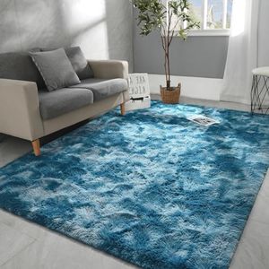 Shag Rugs 