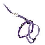 PetSafe Come with me Kitty Harness - Large - Lilac/Bright Purple