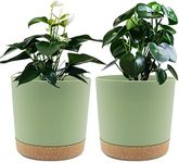 6.5 inch Plant Pot, 2 Pack Planters