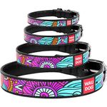 WAUDOG Leather Dog Collar - Colorful Printed Dog Collars for Small Medium Large Dogs - Handmade with Real Genuine Leather - Black (Summer Pattern, XS 8-10" Neck 0.5" Wide)