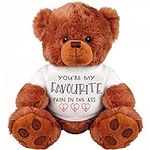 You are My Favourite | Romantic | Unique Gift | Girl Friend | Boy Friend | Large 13" Bear Animated Stuffed Animal Plush Toy | I Love You Bear
