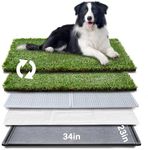 HQ4us Dog grass Large Dog Litter Bo