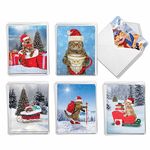 The Best Card Company 36 Assorted Christmas Note Cards Boxed Set 4 x 5.12 Inch with Envelopes (6 Designs, 6 Each) Cats Antics AM3195XSG-B6x6