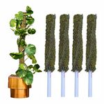 Dr. Arya's Moss Stick | Green Grass Pole for Plants Support | Moss Stick | Moss Stick for Money Plant | Moss Stick for Plants | (Set of 4) - 3 FT Each