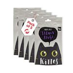 Petsy - Kittos Dry Cat Treat - 35G | Different Flavors Are Available With Multi Pack (Salmon Rings, Pack Of 5), Adult