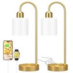 Opal Gold Desk Lamps for Home Offic