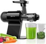 Keenray Cold Press Juicer, Masticat