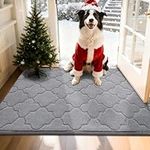 COSY HOMEER Front Door Mat 80x120 CM, Dirt Trapper Floor Mat, Polyester Welcome Door Mat for Kitchen Room Office Entryway Doors, Absorbent Non-Slip Indoor Doormat, Machine Washable, Light Grey