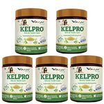 VVAAN Kelpro Oral Care Supplement for Dogs & Cats 70g Dental Plaque Tartar Bad Breath (Pack of 5)