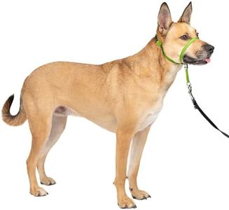 PetSafe Gentle Leader No-Pull Dog Headcollar - The Ultimate Solution to Pulling - Redirects Your Dog's Pulling for Easier Walks - Helps You Regain Control - Medium, Apple Green