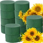 12 Pack Floral Foam Blocks, 3 inch Round Green Fake Plant Bricks, Wet&Dry Styrofoam Foam Floral Arranging Supplies for Artificial and Fresh Cut Flowers, Florists Wedding Aisle Flowers Arrangements