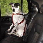 HDP Dog Harness For Cars