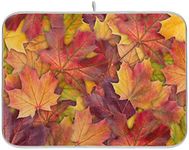 Colorful Autumn Maple Leaves Dish D