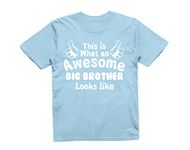 Reality Glitch This is What an Awesome Big Brother Looks Like Kids T-Shirt (Light Blue, 9-11 Years)