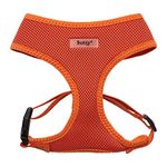 Bunty No Pull Dog Harness Small Dog - Soft, Breathable, Durable and Adjustable Dog, Cat and Puppy Vest Harnesses, Lightweight Anti Pull Dog Harness - Orange, Back D-Ring, Small