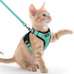 rabbitgoo Cat Harness and Leash for