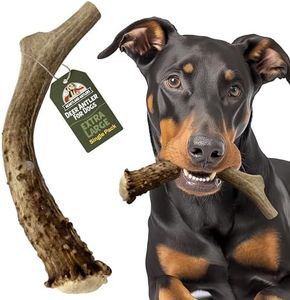 Heartland Deer Antlers for Dogs - Grade A, Naturally Shed Antlers | Dog Bones for Aggressive Chewers & Teething Puppies | Chew Toy for All Breeds | USA Made & Veteran Owned (X-Large: 8-10", 1-Pack)