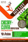 HIT LIST SEED® Chicory + Clover Food Plot Seeds for Deer [Perennial] - Deer Food Plot Seed Perennial - Deer Plot Seed Mix - Chicory, Ladino Clover, Red Clover - Spring, Summer & Fall Planting - 6 lbs