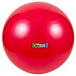 GoFit Exercise Ball Size - 55 CM