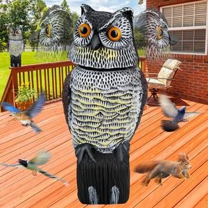 JNKNT Owl 